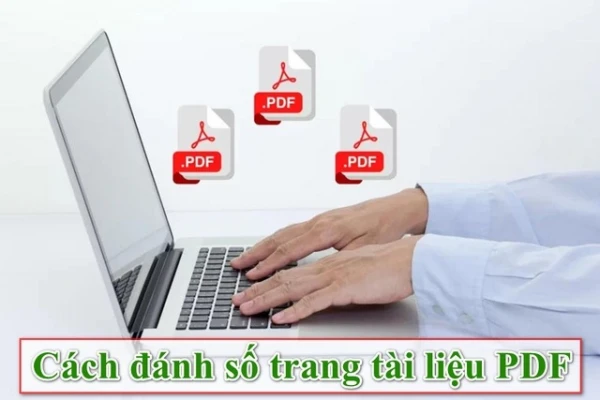 canh-danh-so-trang-pdf-01.jpg